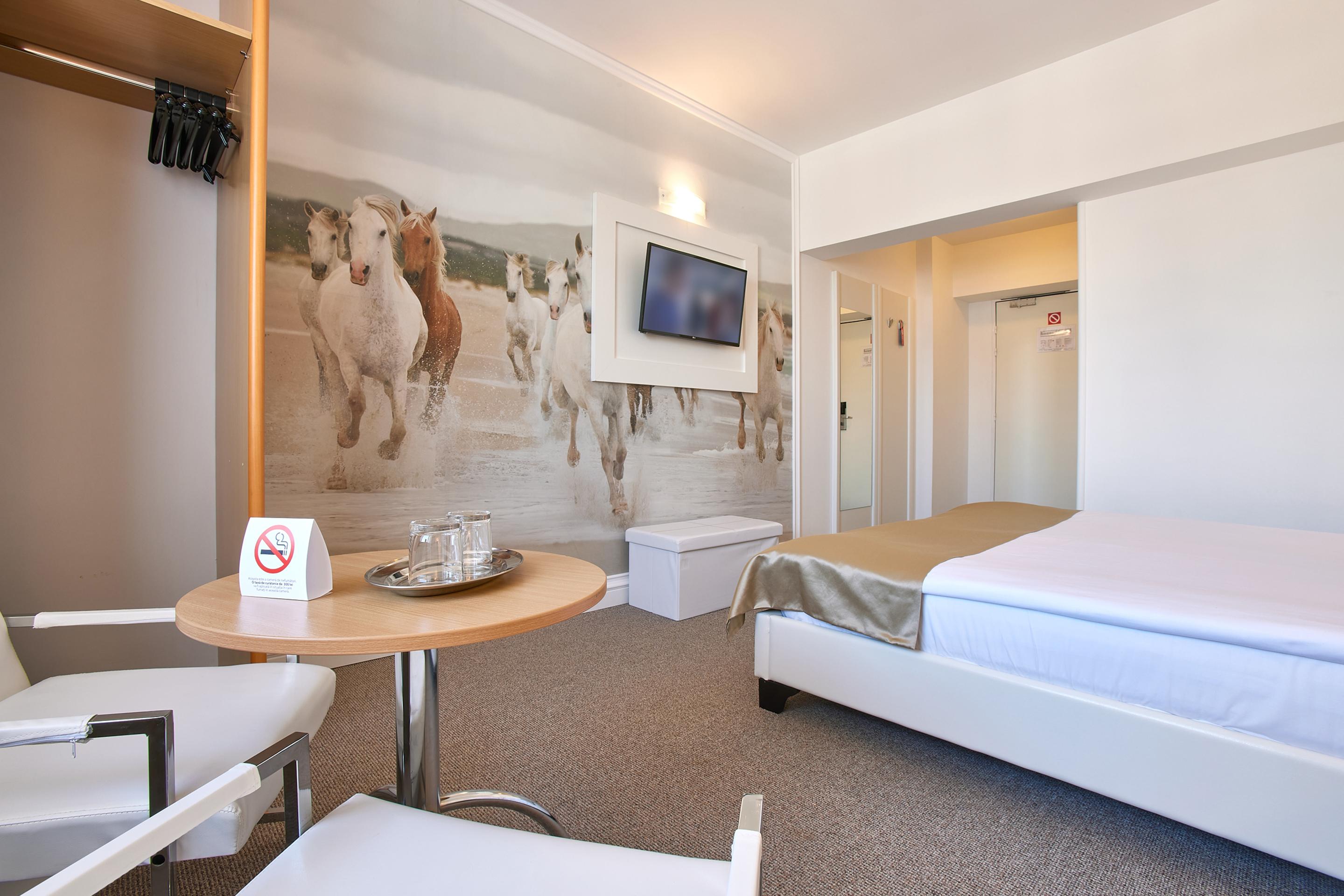 Mycontinental Gara De Nord 3* 布加勒斯特